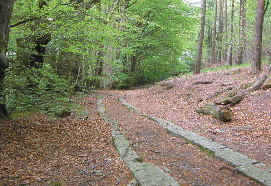 The Haytor Tramway was built to transport granite down from the quarries on - photo 4