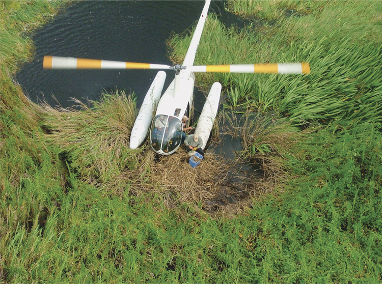 Flying the chopper over the nests at Arafura Swamp in Arnhem Land NT One of - photo 3