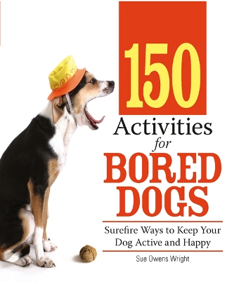 150 Activities For Bored Dogs Surefire Ways to Keep Your Dog Active and Happy - image 1