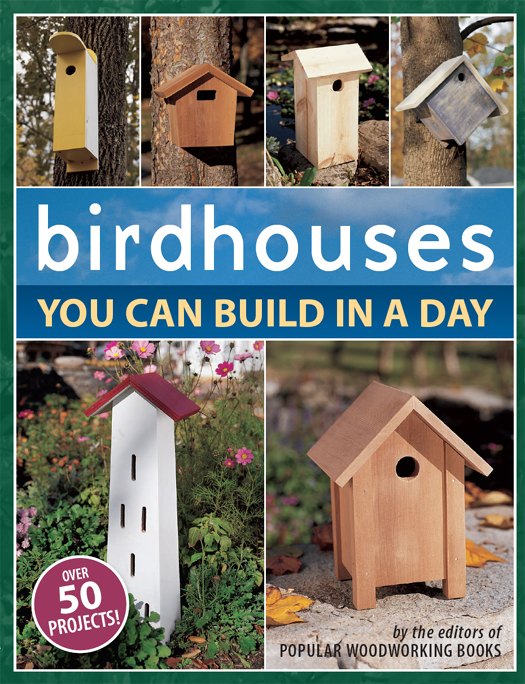 Birdhouses You Can Build in a Day - image 1