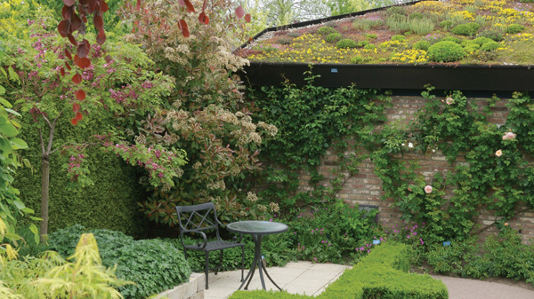 A green roof provides not just more planting space in a garden but a way to - photo 4