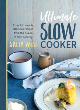 Wise - Ultimate Slow Cooker