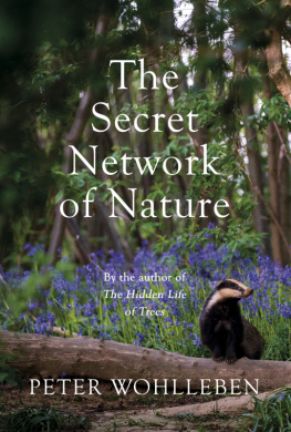 Wohlleben - The Secret Network of Nature