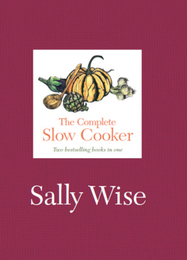 Wise - The Complete Slow Cooker