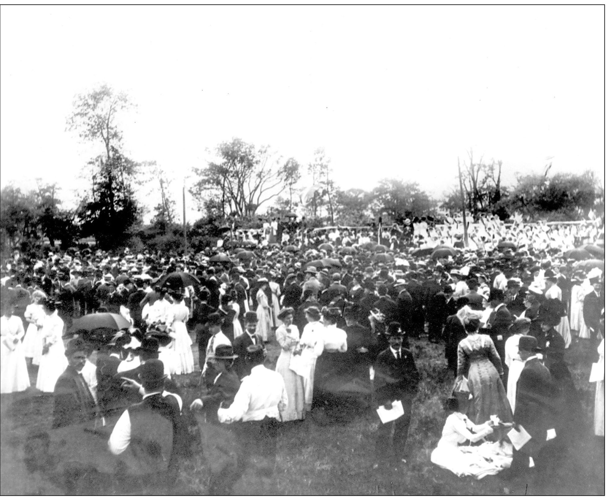 The groves provided shade and a picture-perfect picnic area to spend time with - photo 3