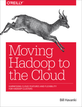 Havanki - Moving Hadoop to the cloud: harnessing cloud features and flexibility for Hadoop clusters