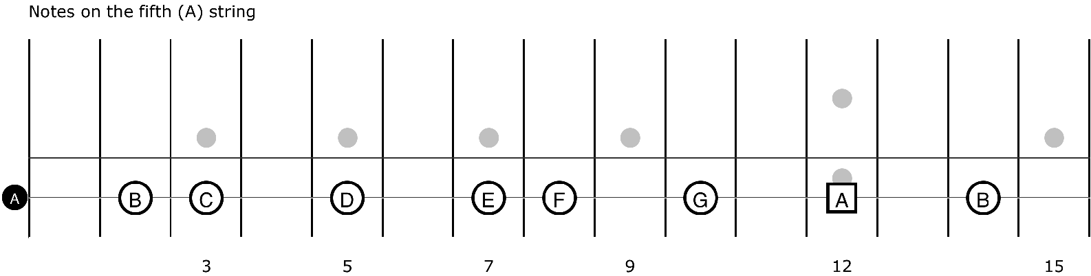 Notice that the note on the open string A repeats at the twelfth fret and the - photo 7