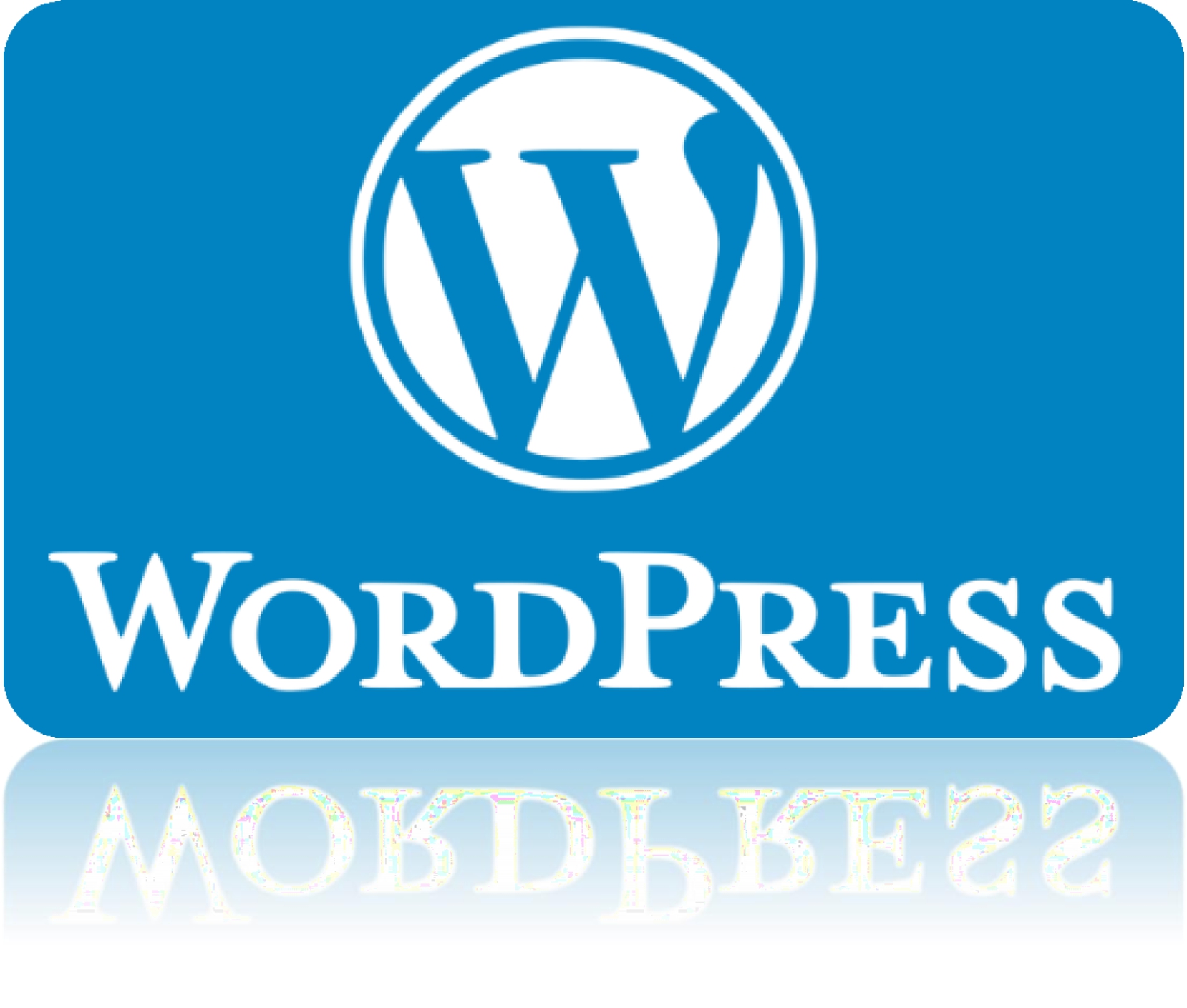 Today WordPress is the largest self-hosted blogging tool in the world being - photo 21