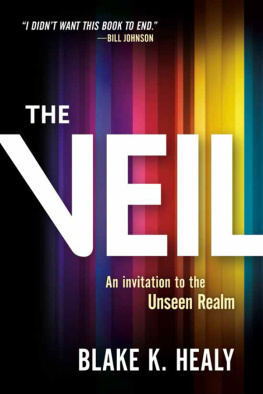 Healy - The Veil