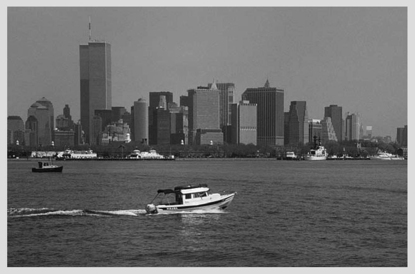 NIKAWA IN NEW YORK HARBOR Iconogram I The bulk of the water in New York Harbor - photo 1