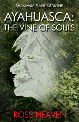 Heaven Ayahuasca: the vine of souls