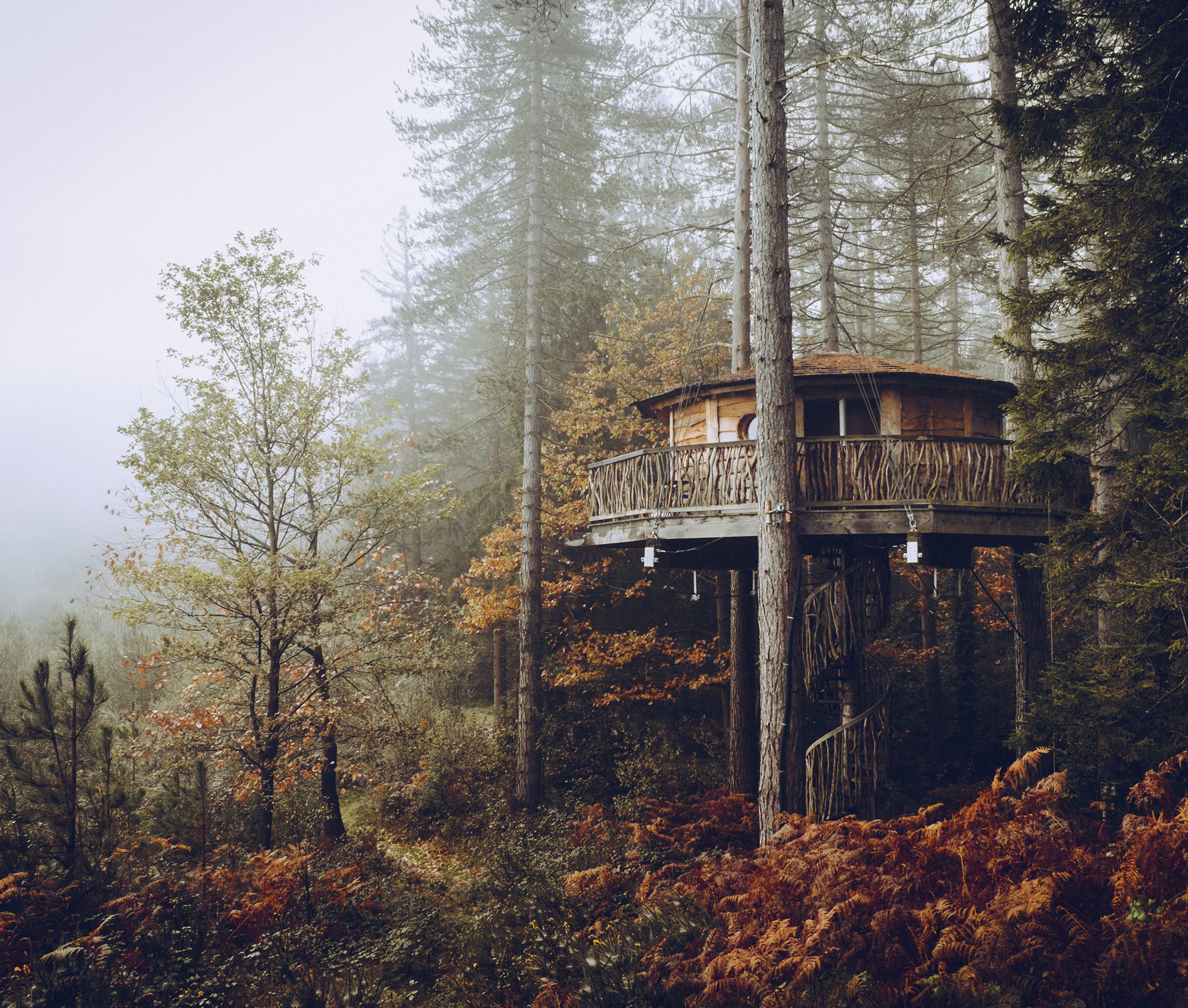 BUILT UP HIGH IN SPAINS BASQUE COUNTRY Camouflaged among the fall leaves of - photo 7