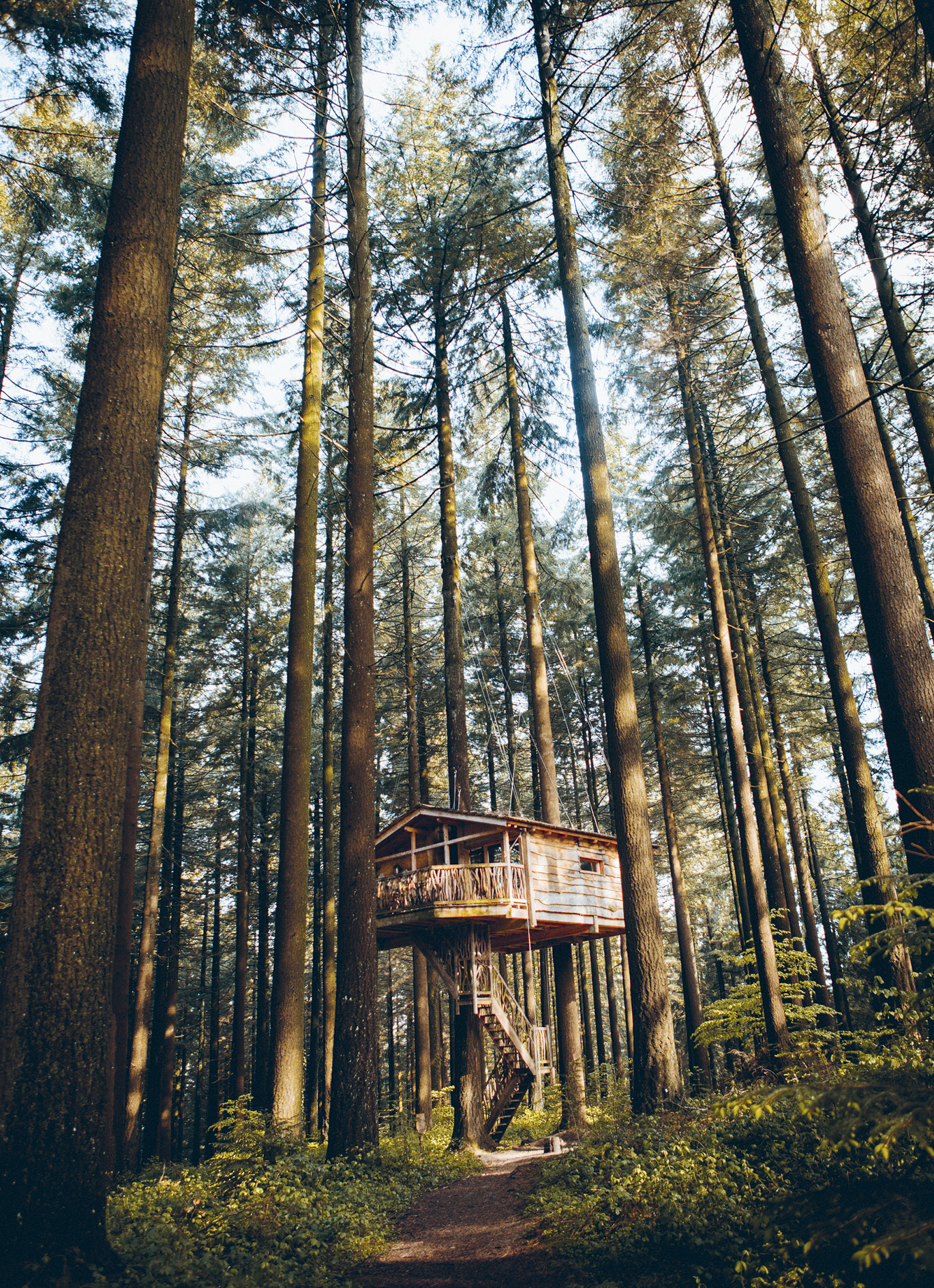 GRAND DOUBLE-DECKER TREE HOUSE RETREAT Darin and Kati bought a seven-acre - photo 8