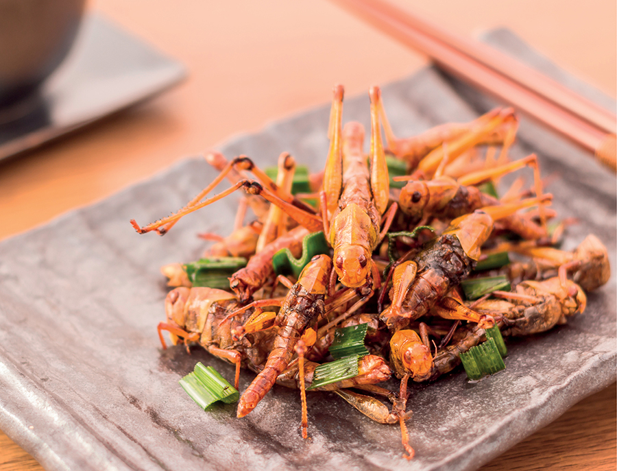 By adapting the way we eat to include insects such as these fried crickets we - photo 3