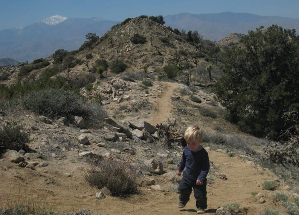 San Gorgonio from Joshua Tree National Park Contents Wildwood Park City of - photo 4