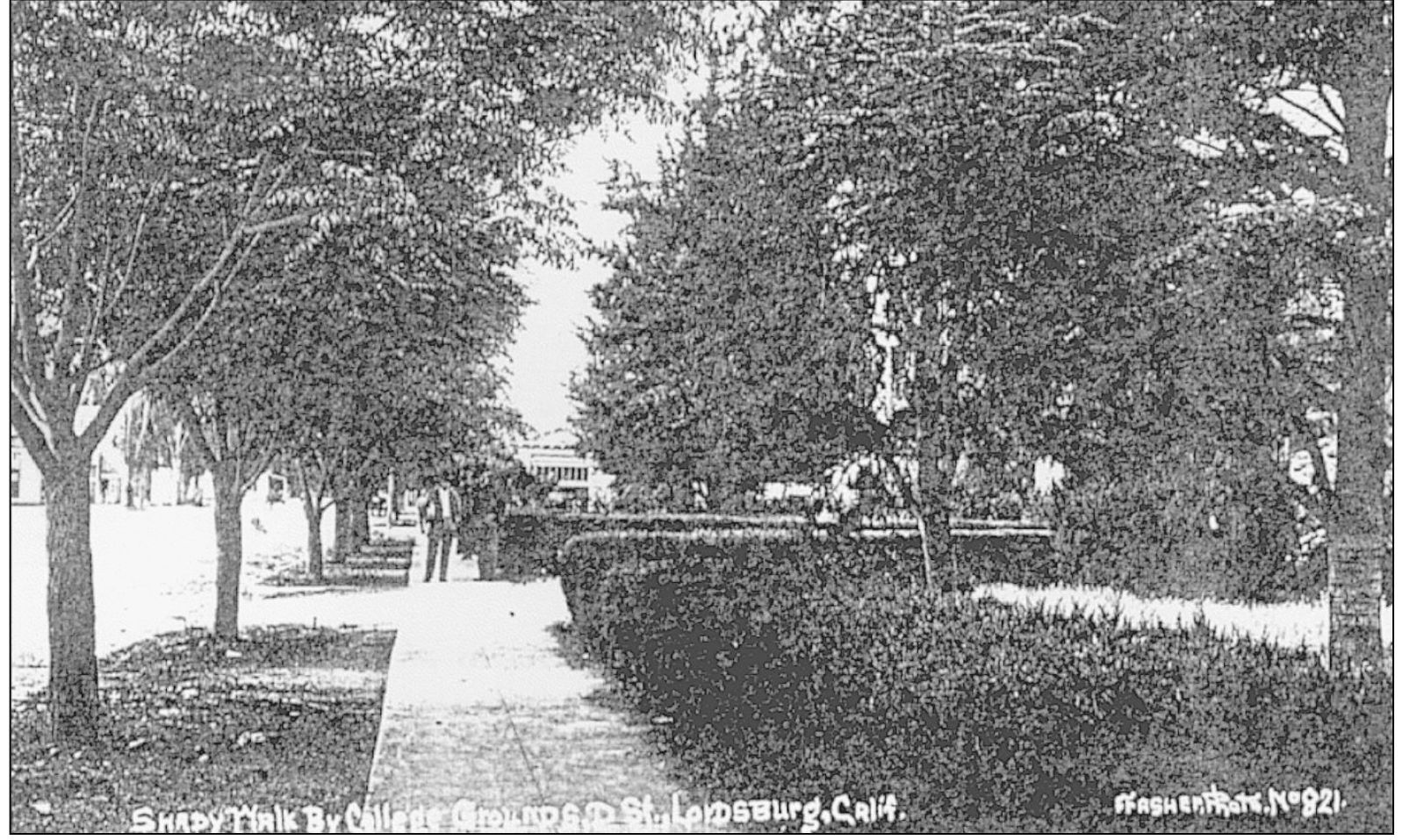 SHADY WALK BY COLLEGE GROUNDS D STREET LORDSBURG This is the east end of the - photo 12