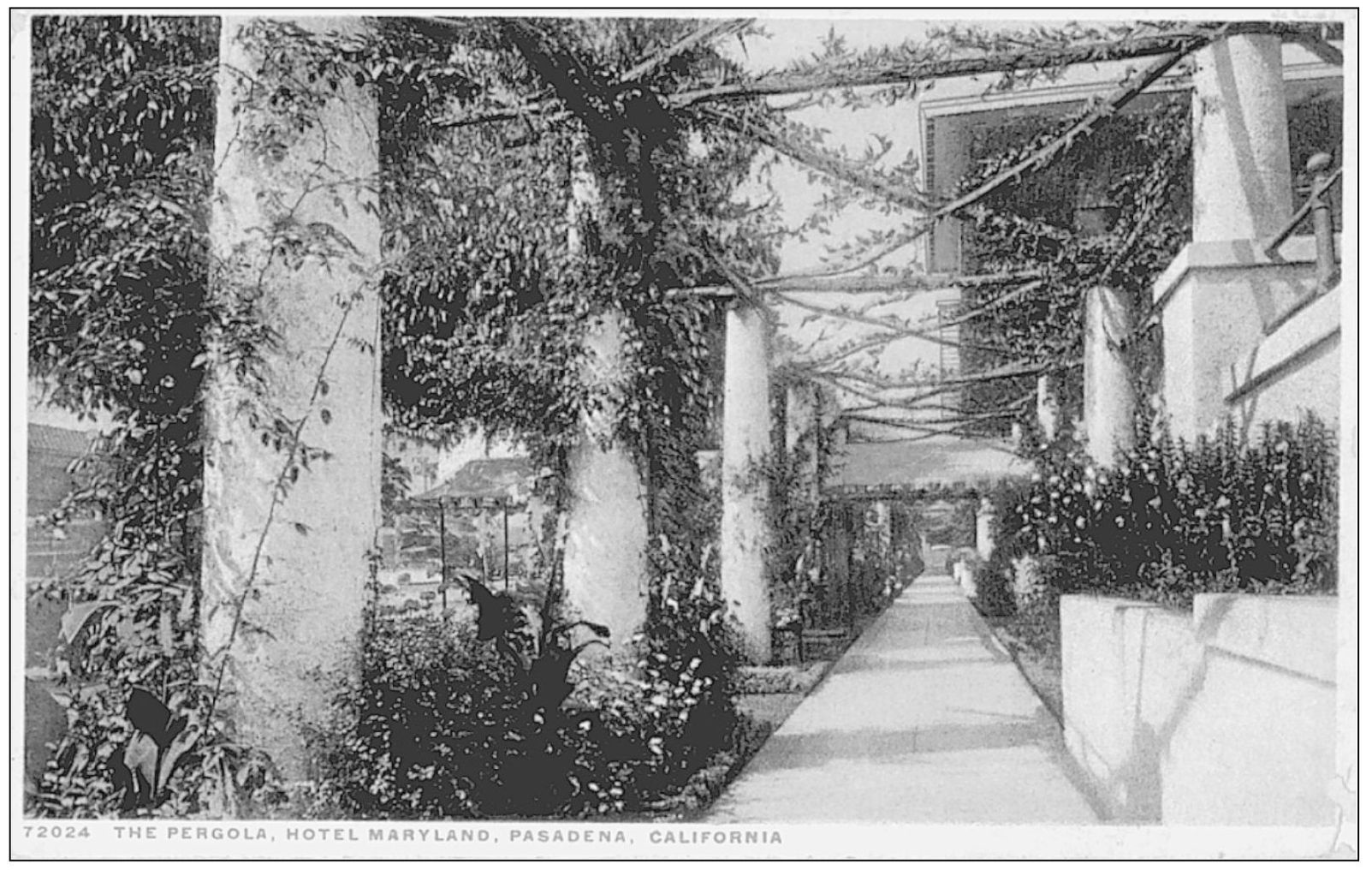 THE PERGOLA HOTEL MARYLAND PASADENA CALIFORNIA PP Detroit Publishing - photo 23