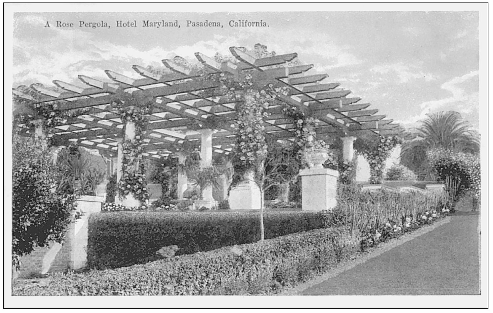 A ROSE PERGOLA HOTEL MARYLAND PASADENA CALIFORNIA The Rose Pergola was a - photo 24