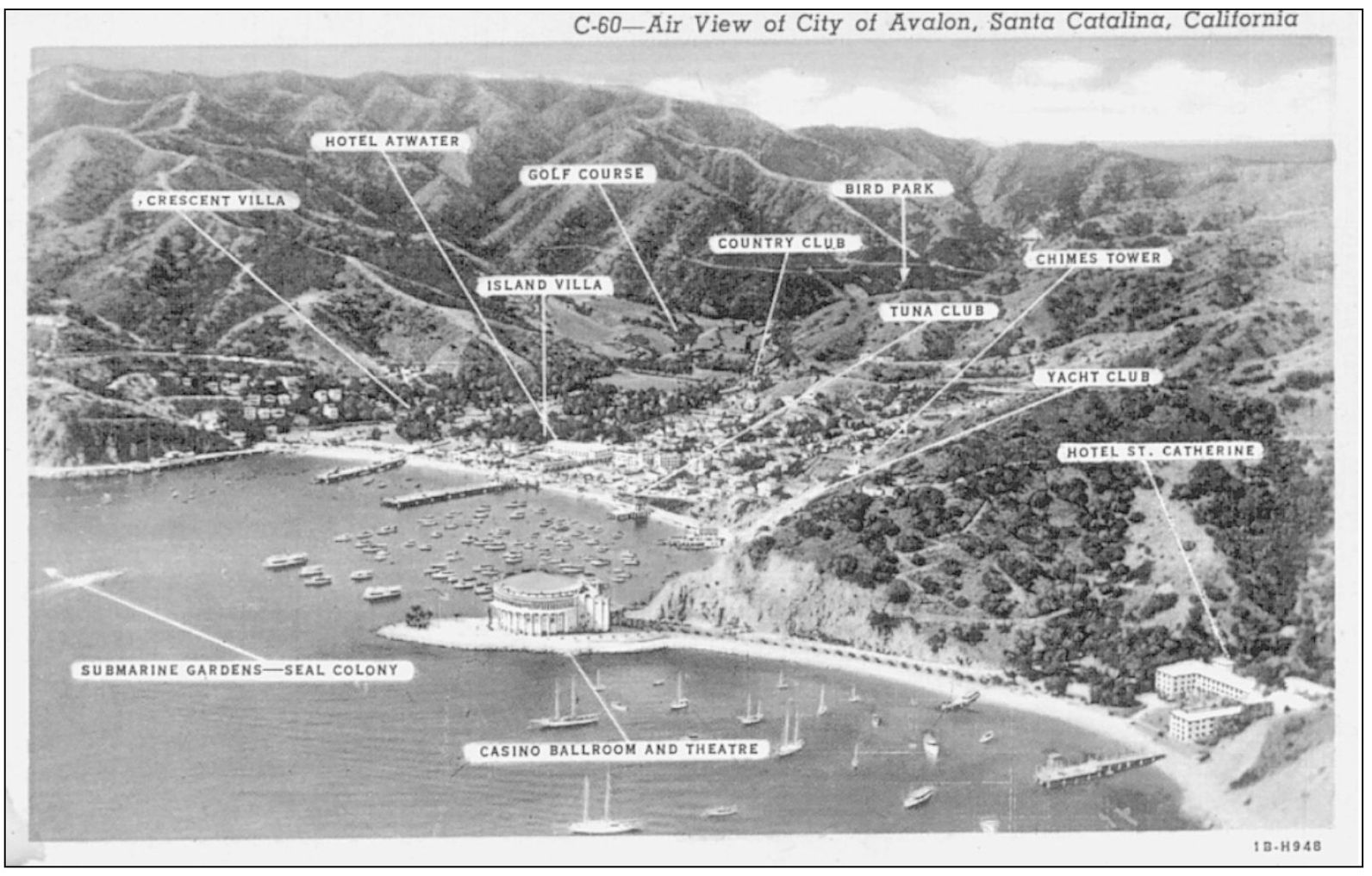 AIR VIEW OF CITY OF AVALON SANTA CATALINA ISLAND CALIFORNIA Text on the - photo 6