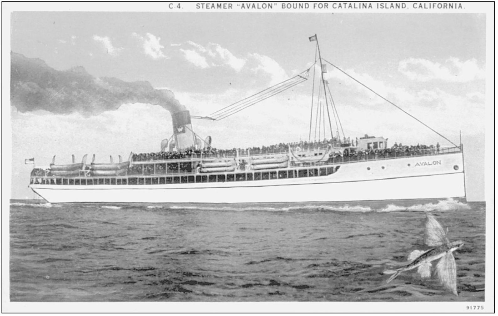 STEAMER AVALON BOUND FOR CATALINA ISLAND CALIFORNIA A flying fish is shown - photo 17