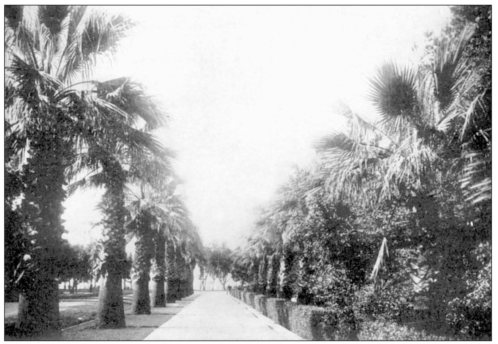 SANTA MONICA CAL BY THE SEA Unknown THE PARK AT SANTA MONICA - photo 7