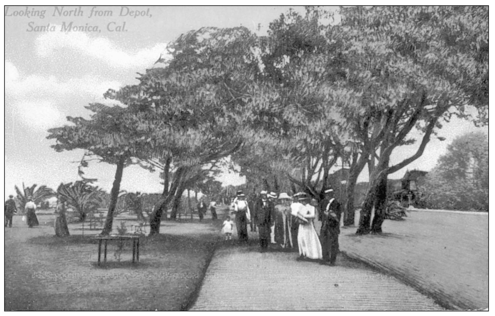 LOOKING NORTH FROM DEPOT SANTA MONICA CAL Newman Post Card Co Los - photo 14