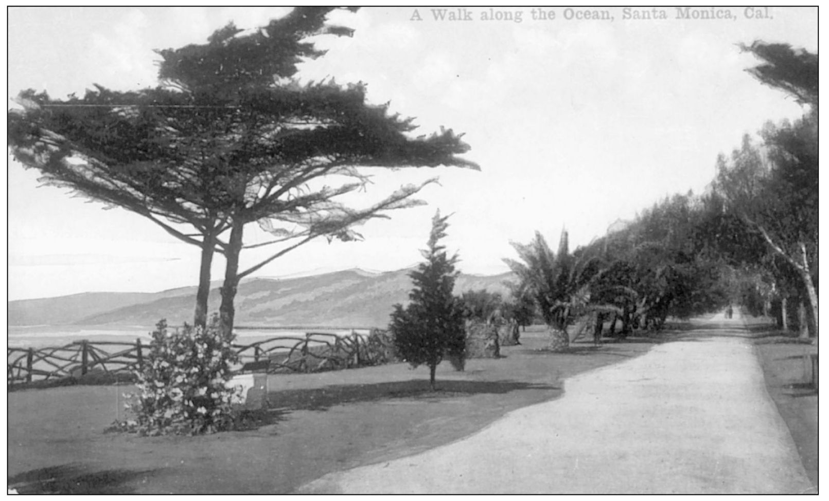 A WALK ALONG THE OCEAN SANTA MONICA CAL Newman Post Card Co Los Angeles - photo 15