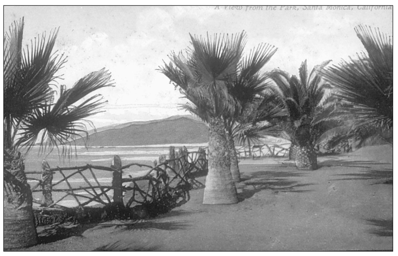 A VIEW FROM THE PARK SANTA MONICA CALIFORNIA Pacific Novelty Co San - photo 16