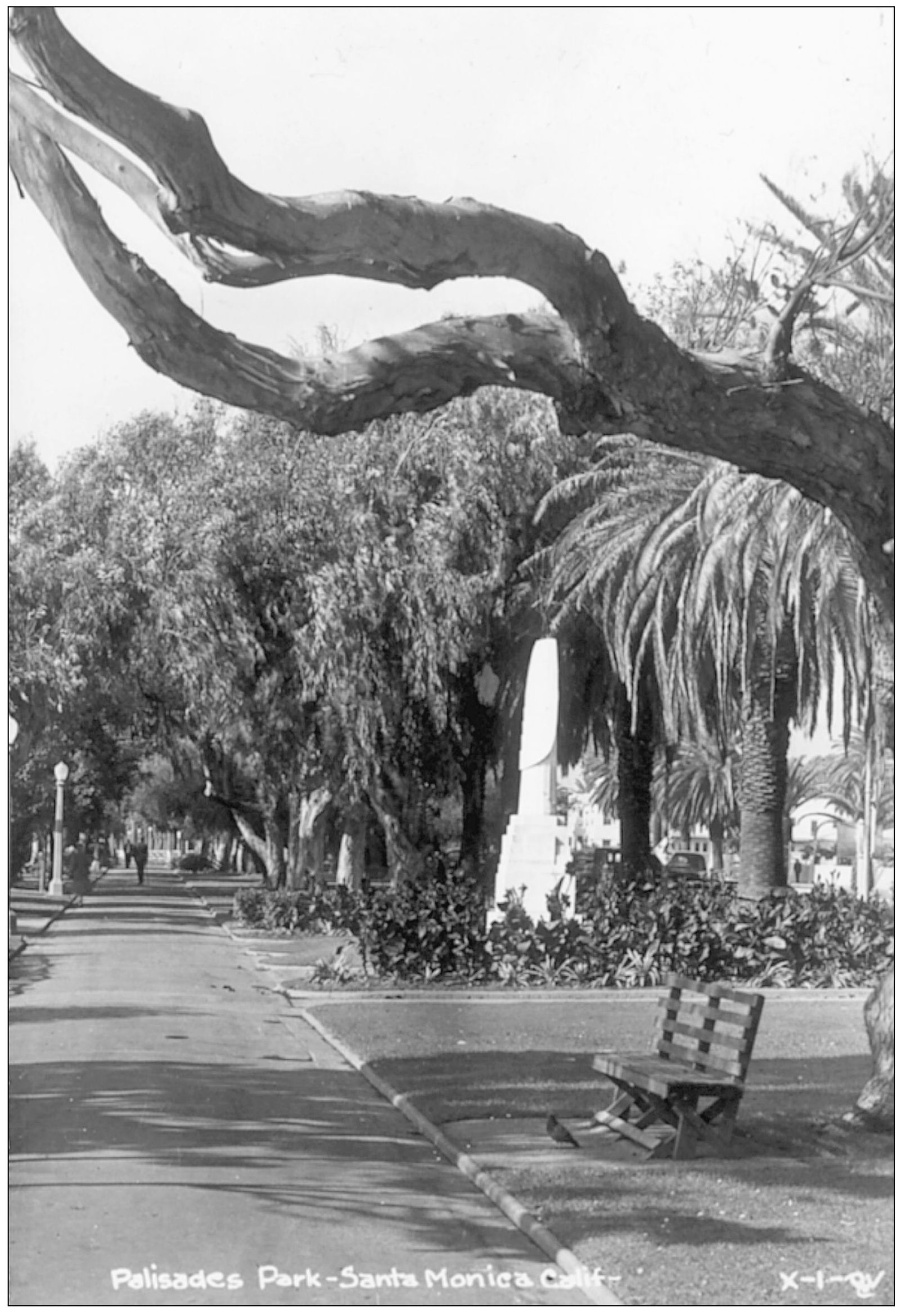 PALISADES PARK SANTA MONICA CALIF Unknown THE PALISADES SANTA - photo 19