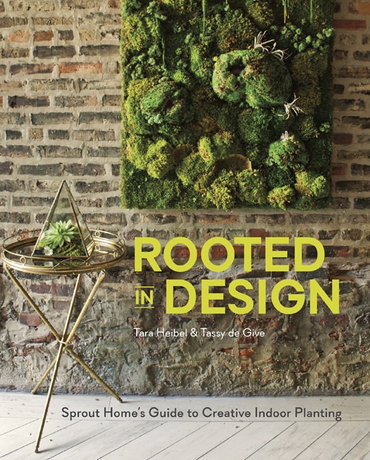 Rooted in Design - photo 1