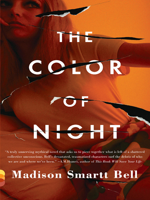 MADISON SMARTT BELL The Color of Night Madison Smartt Bell is the author of - photo 1