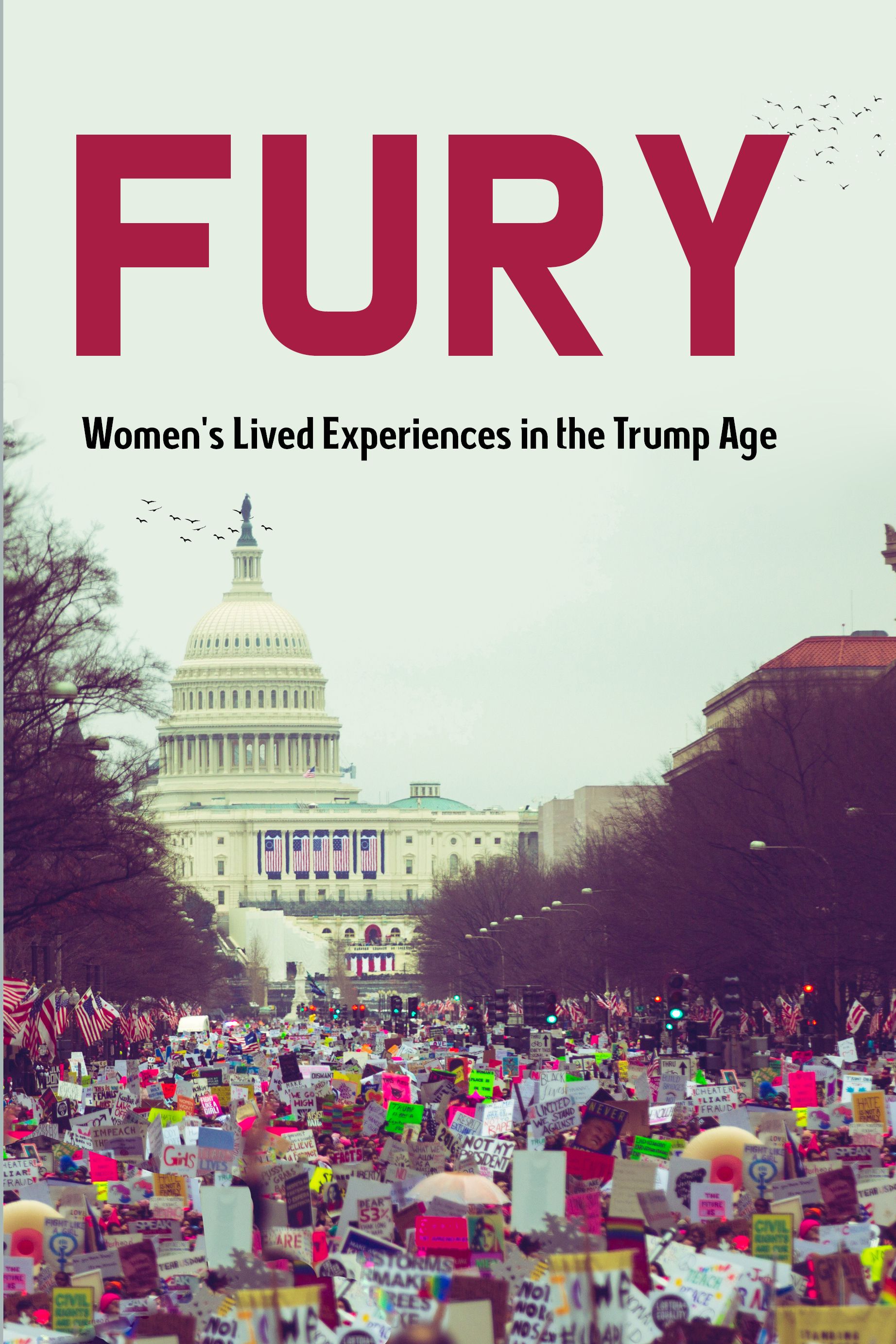 FURY womens lived experiences in the trump era - image 1