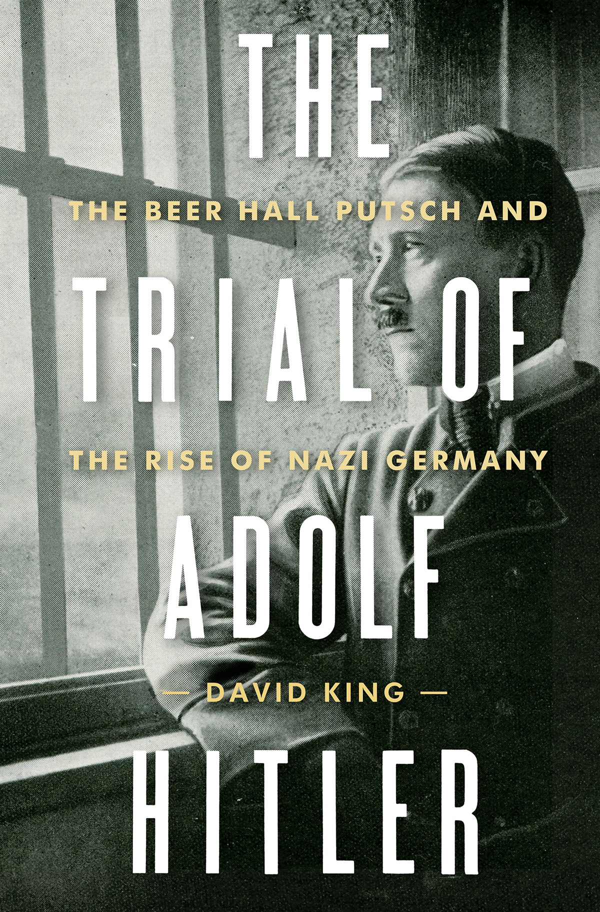 THE TRIAL of ADOLF HITLER The Beer Hall Putsch and the Rise of Nazi Germany - photo 1