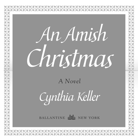 An Amish Christmas is a work of fiction Names characters places and - photo 3