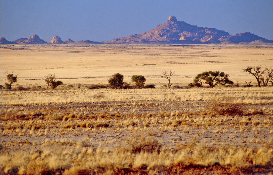 The golden grasslands of south-central Namibia stretch as far as the eye can - photo 4