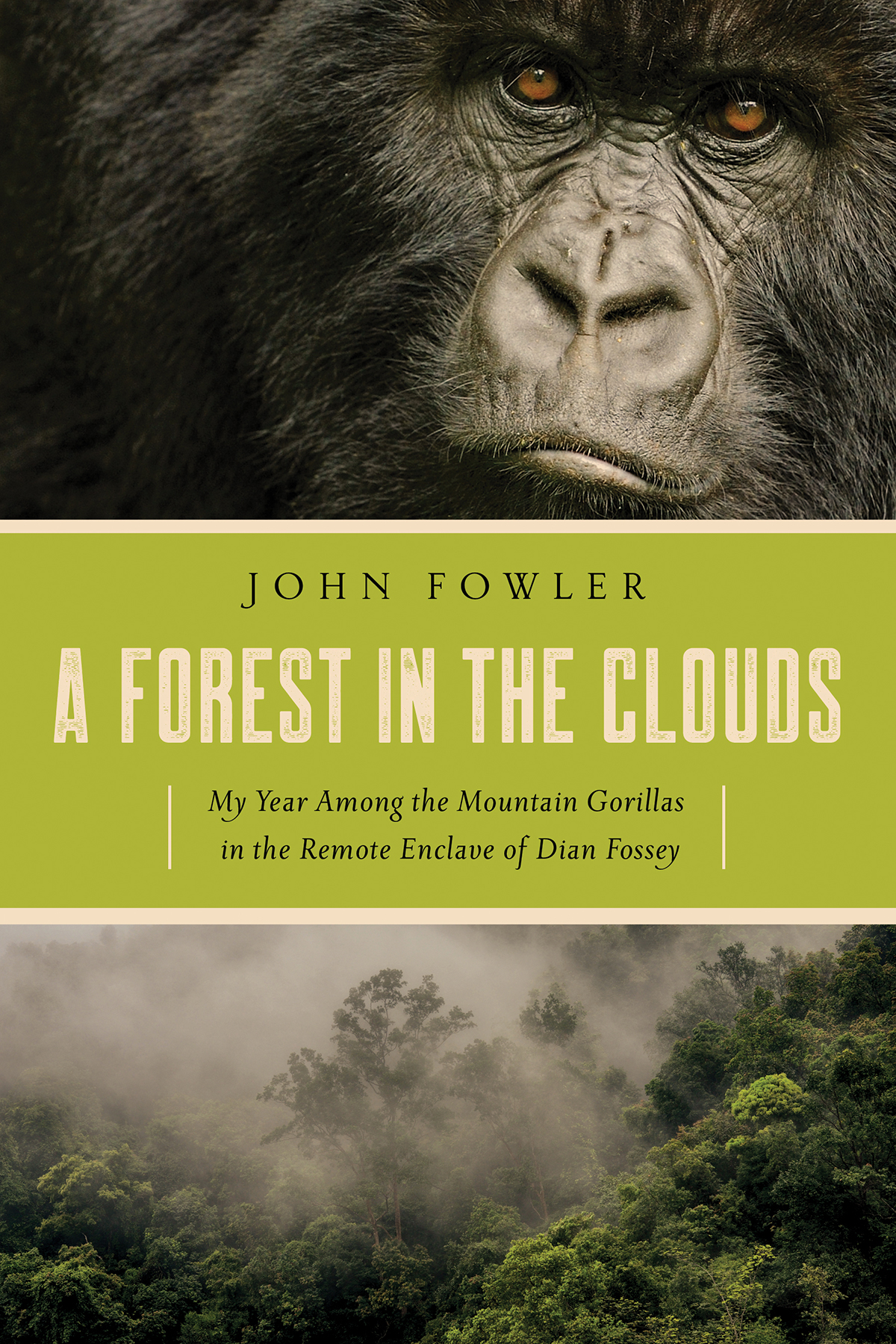 A FOREST IN THE CLOUDS My Year Among the Mountain Gorillas in the Remote - photo 1
