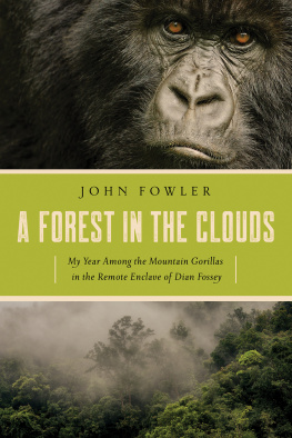 Karisoke Research Center. A forest in the clouds: my year among the mountain gorillas in the remote enclave of Dian Fossey