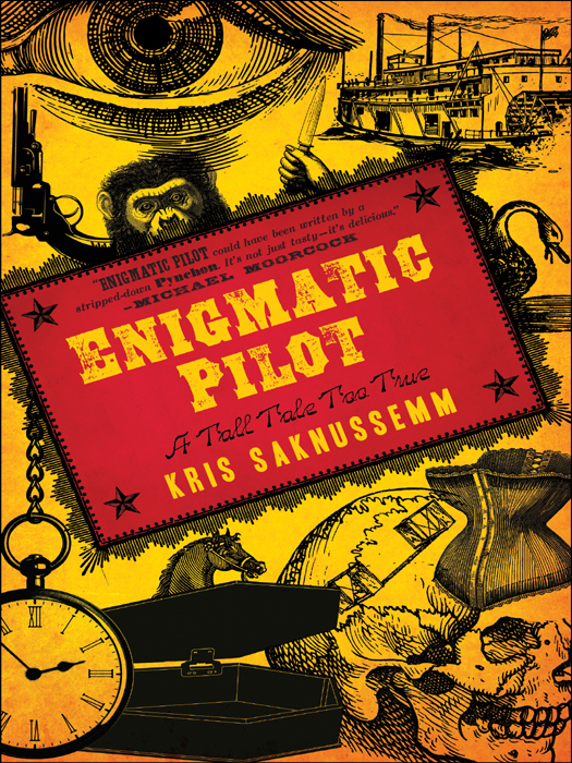 Enigmatic Pilot A Tall Tale Too True is a work of fiction Names characters - photo 1