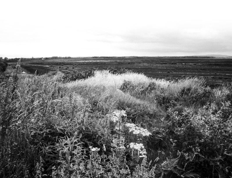 AFTER THE FLOOD According to the Leabhar Gabhla Irelands first inhabitants - photo 16