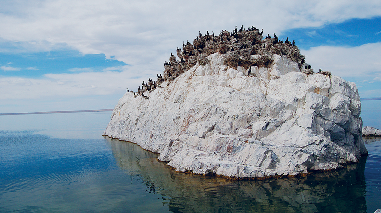 MICHAEL KOHN LONELY PLANET IMAGES Roosting cormorants Khetsuu Khad - photo 7