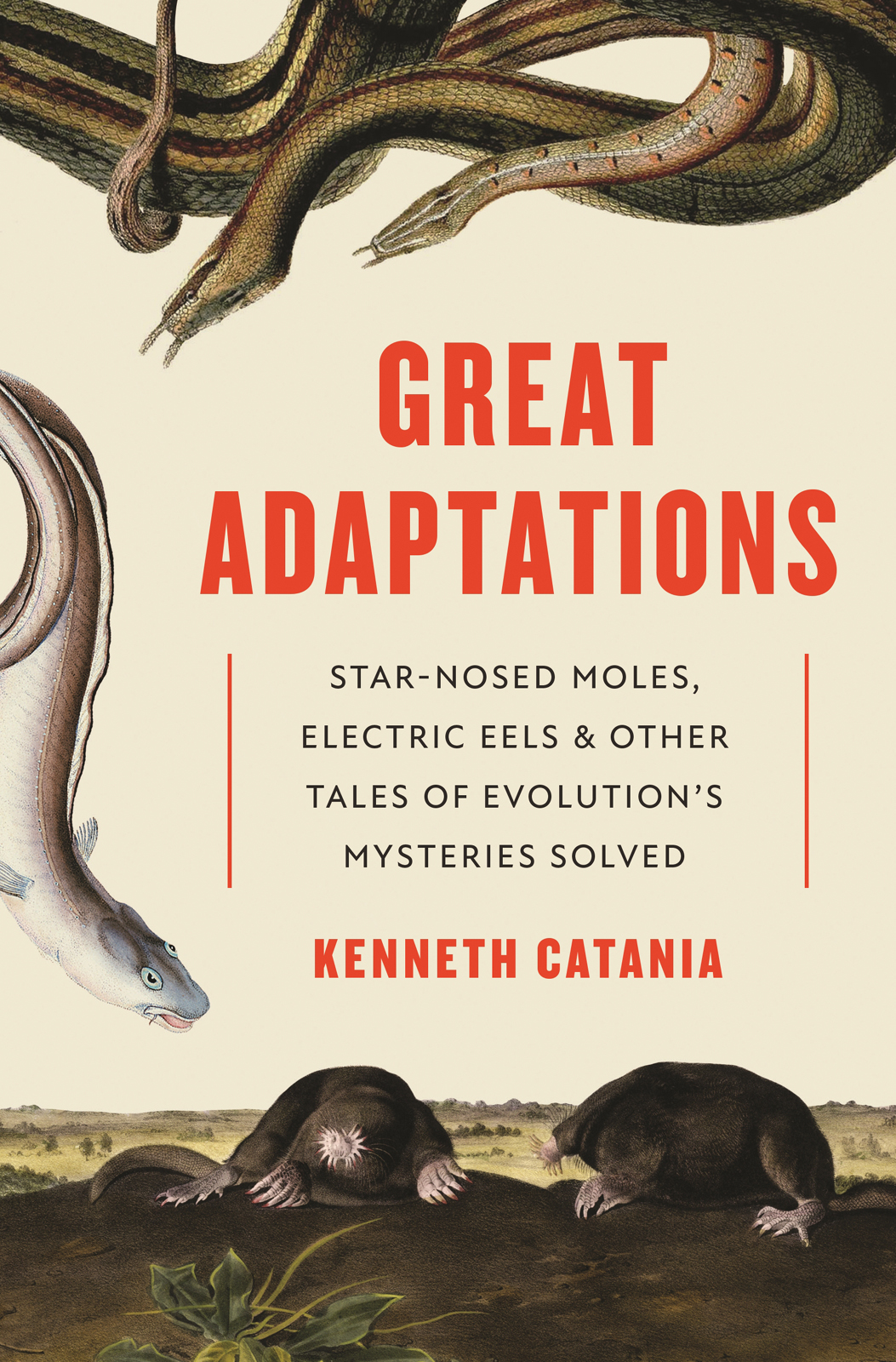 GREAT ADAPTATIONS GREAT ADAPTATIONS Star-Nosed Moles Electric Eels and - photo 1