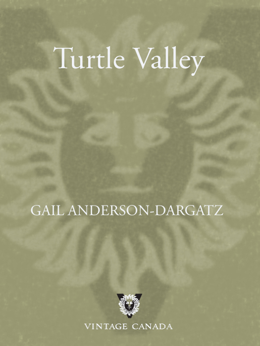 Praise for Turtle Valley NATIONAL BESTSELLER A beautifully written and - photo 1