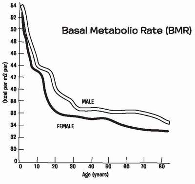 The BMR is a measure of the amount of energy needed to keep you alive when you - photo 2