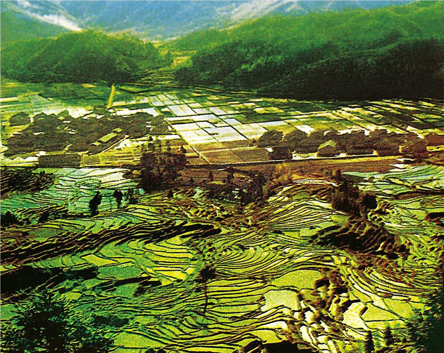 Paddy fields in Ningde Foreword Xiang Nan The nine counties and cities of - photo 11