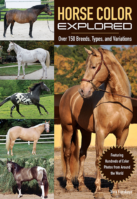 HORSE COLOR EXPLORED Over 150 Breeds Types and Variations Vera - photo 1