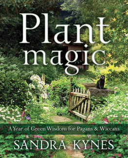 Kynes - Plant magic: a year of green wisdom for pagans & Wiccans