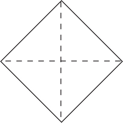 Fold in half corner to corner both ways Fold two edges from the left - photo 28