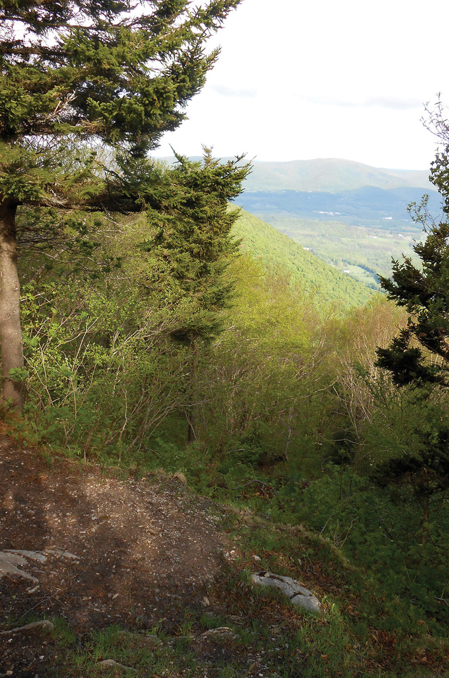 W hether you want to spend an afternoon ambling through an azalea grove or take - photo 4