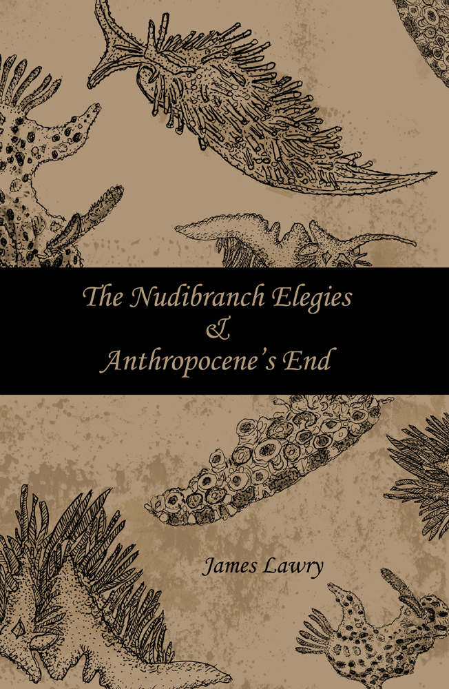 The nudibranch elegies and anthropocenes end - image 1