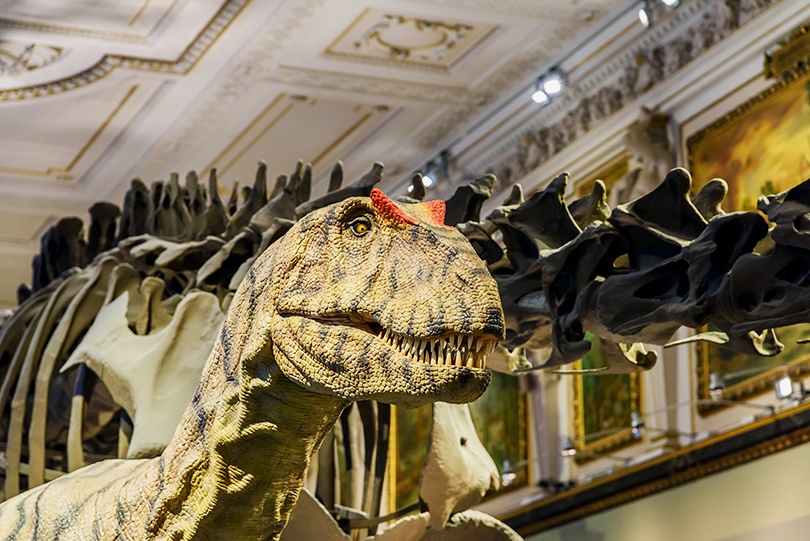 Radu BercanSHUTTERSTOCK Vienna Top Sights Staatsoper A roll-call of - photo 10